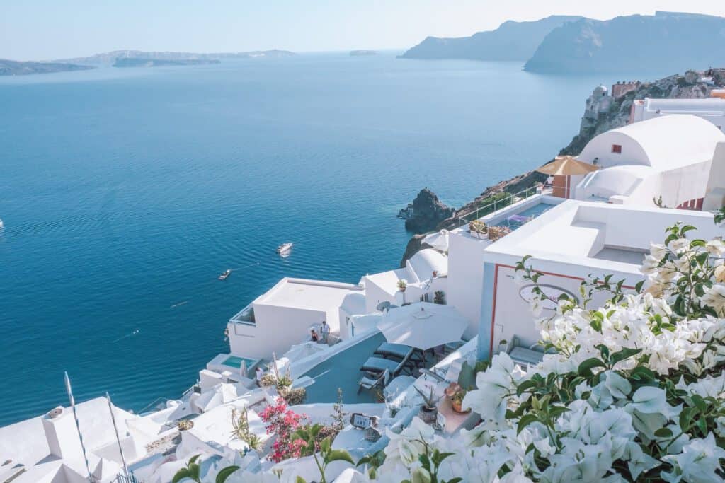 caldera and santorini flowers