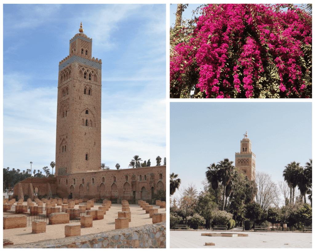 beautiful bougainvillea and gardens behind koutoubia mosque