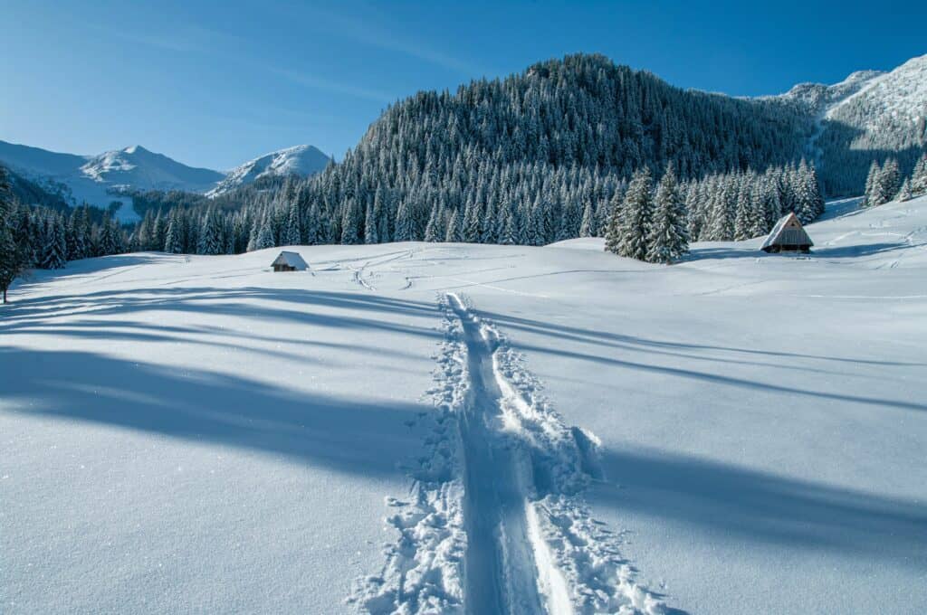 snow sledding in zakopane