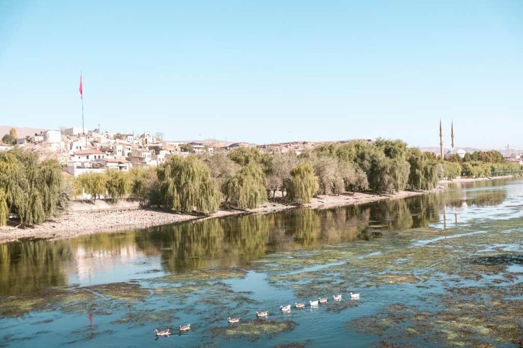 View of the river from the bridge