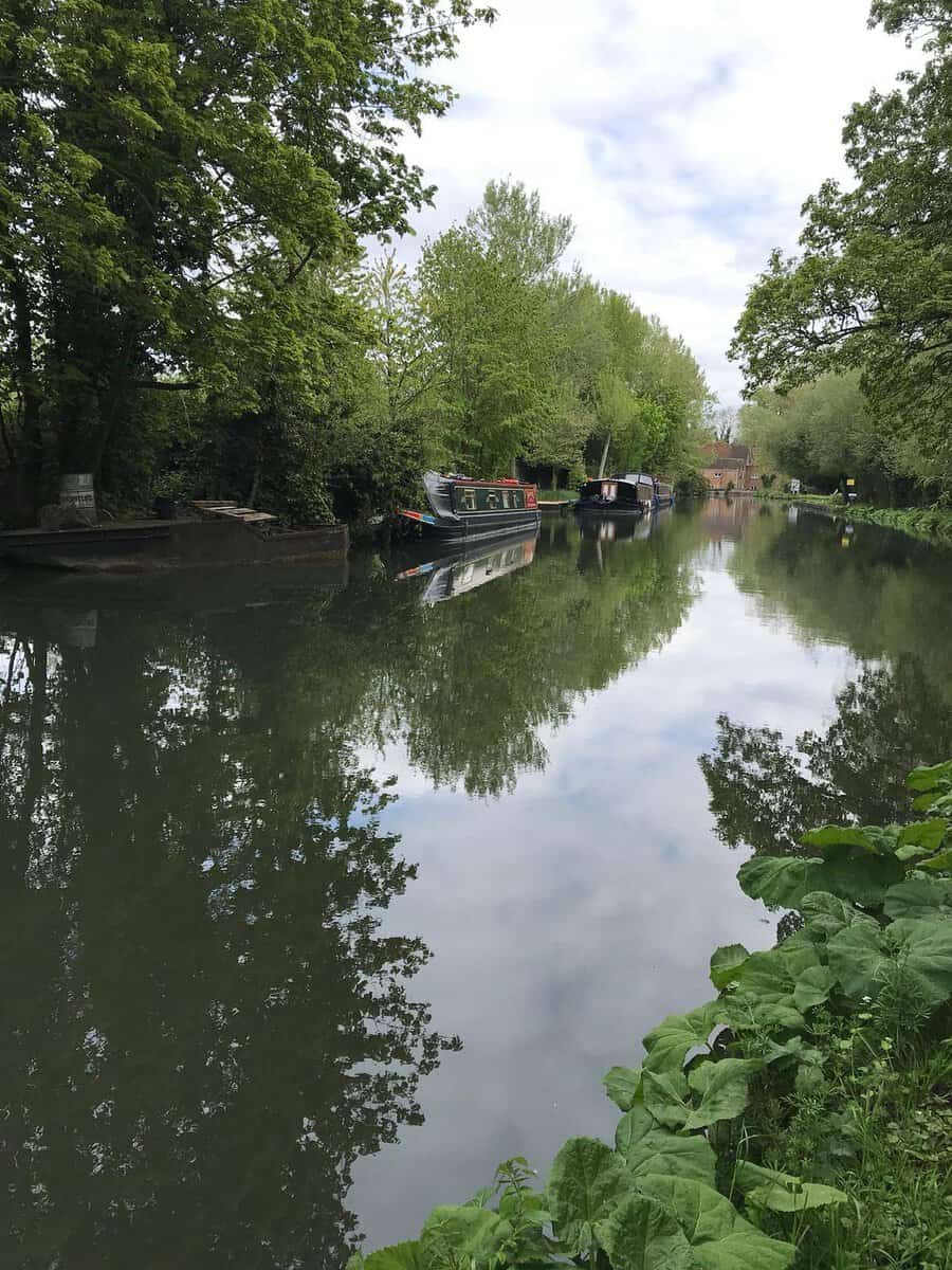 green scenery and water reflections with boats on a canal