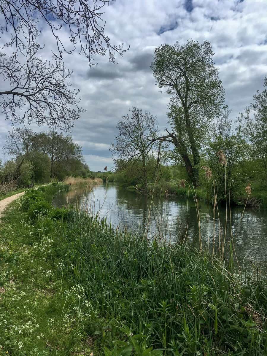 green scenery and water reflections with boats on a canal