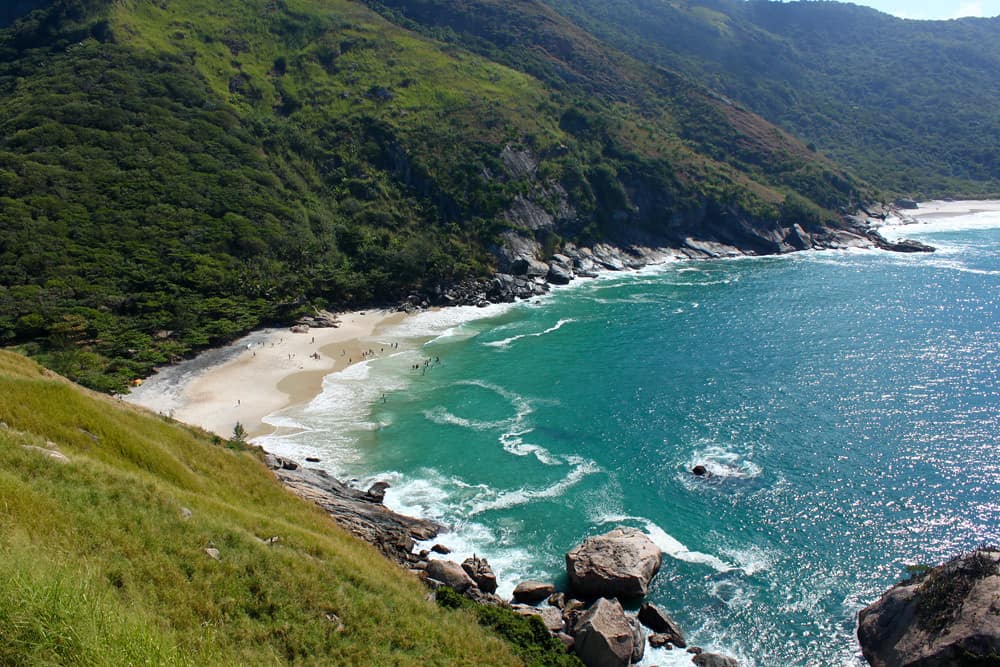 beautiful secluded beach with green water and lush vegetation 